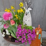 Zaunhocker Gaißbock und Huhn Zaunhocker Gaißbock und Huhn